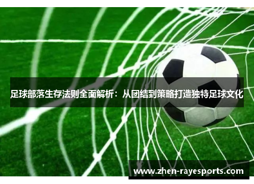 足球部落生存法则全面解析：从团结到策略打造独特足球文化