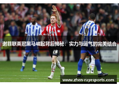 谢菲联英冠黑马崛起背后揭秘：实力与运气的完美结合