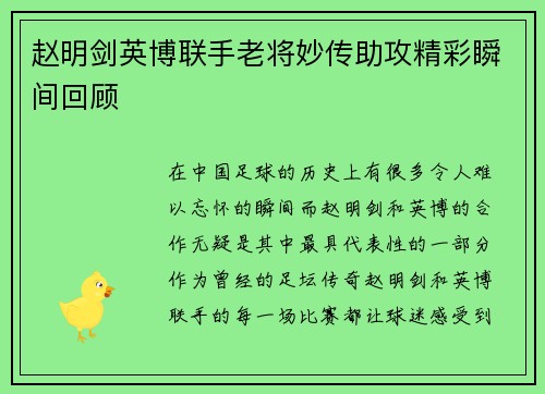 赵明剑英博联手老将妙传助攻精彩瞬间回顾